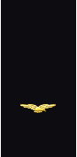 Sleeve insignia