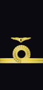 Sleeve insignia