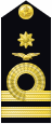 Shoulder insignia