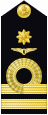 Shoulder insignia