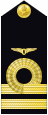 Shoulder insignia