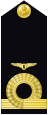 Shoulder insignia