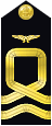 shoulder insignia
