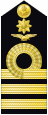 Shoulder insignia