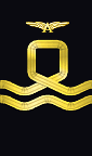 sleeve insignia