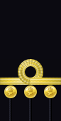 Sleeve insignia