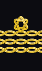 sleeve rank insignia