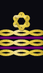 sleeve rank insignia