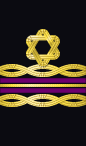 sleeve rank insignia