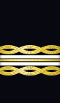 sleeve rank insignia