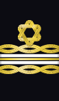 sleeve rank insignia