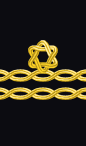 sleeve rank insignia