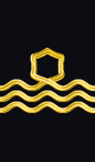 sleeve rank insignia