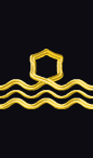 sleeve rank insignia