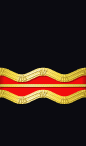 sleeve rank insignia