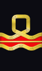 sleeve rank insignia