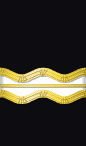 sleeve rank insignia