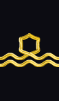 sleeve rank insignia