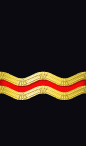 sleeve rank insignia
