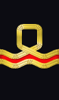 sleeve rank insignia