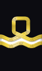 sleeve rank insignia