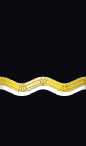 sleeve rank insignia