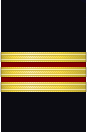 Sleeve insignia