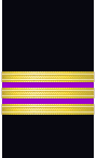 Sleeve insignia