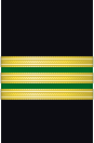 Sleeve insignia