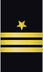 Sleeve insignia