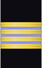 Sleeve insignia