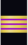 Sleeve insignia