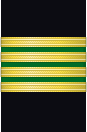 Sleeve insignia