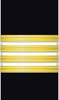 Sleeve insignia