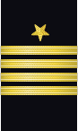 sleeve insignia