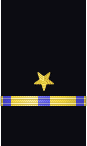 Sleeve insignia