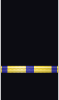 Sleeve insignia