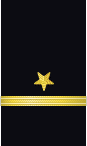 Sleeve insignia