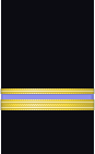 Sleeve insignia