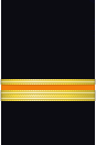 Sleeve insignia