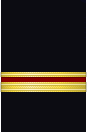 Sleeve insignia