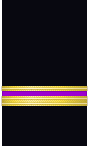 Sleeve insignia