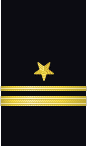 Sleeve insignia