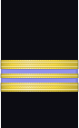 Sleeve insignia