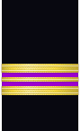 Sleeve insignia