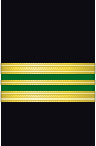 Sleeve insignia