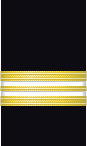 Sleeve insignia