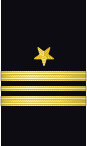 Sleeve insignia