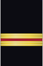 Sleeve insignia