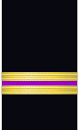 Sleeve insignia